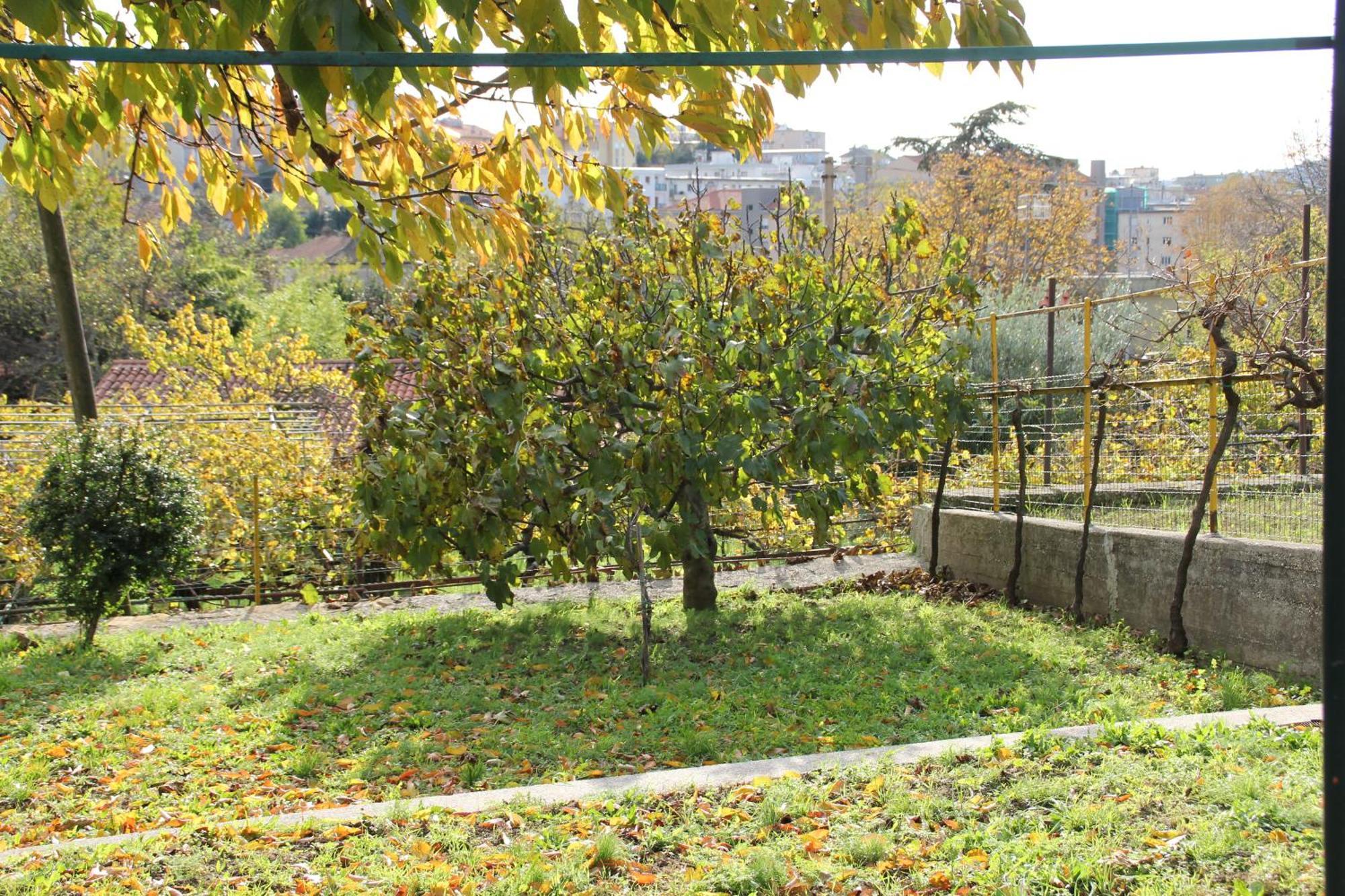 Il Gelsomino Villa Триест Екстериор снимка