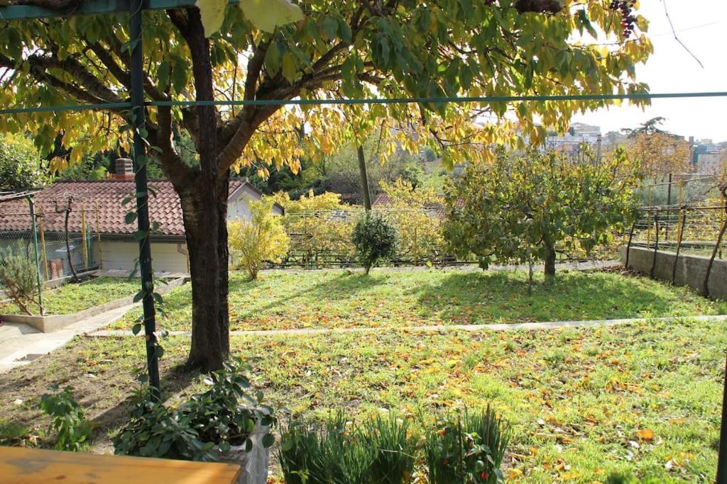 Il Gelsomino Villa Триест Екстериор снимка