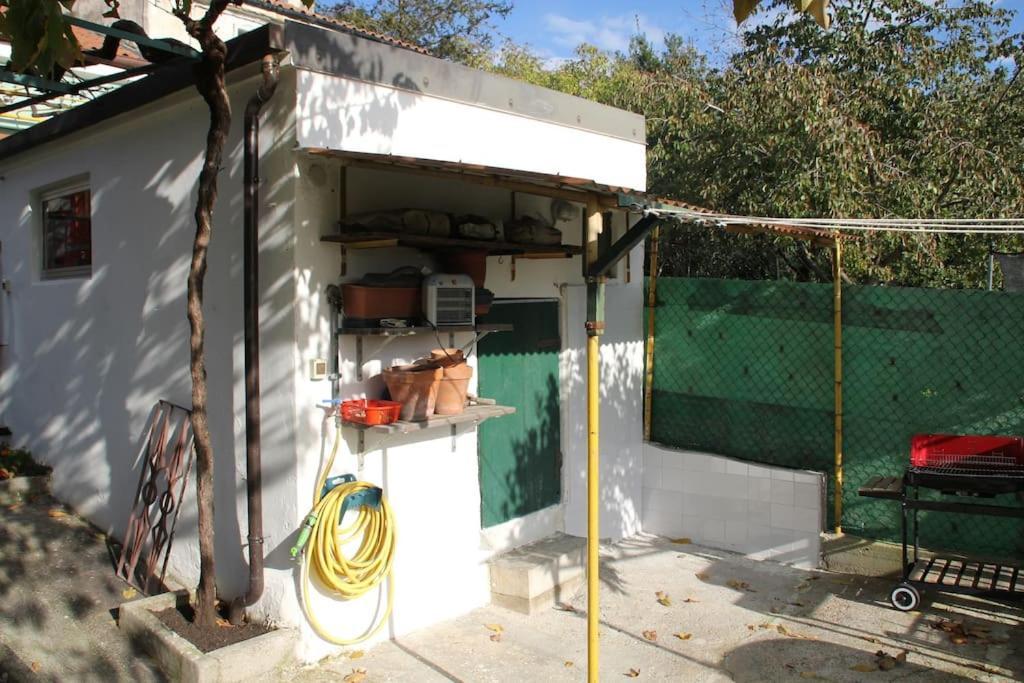 Il Gelsomino Villa Триест Екстериор снимка